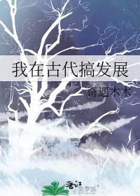 我在古代搞发展